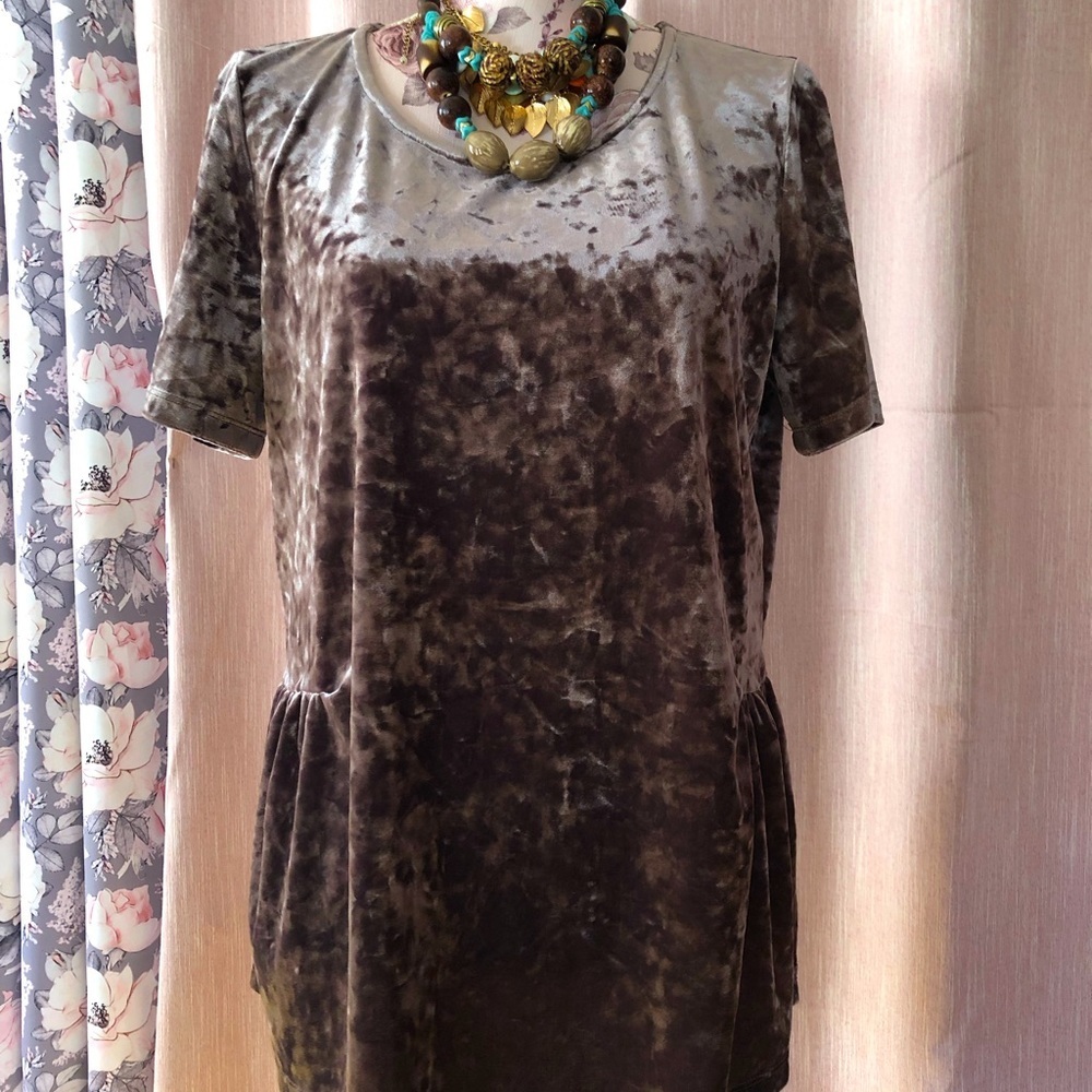 Pleione Velvet Blouse